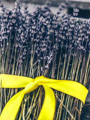 Fresh lavendar flowers