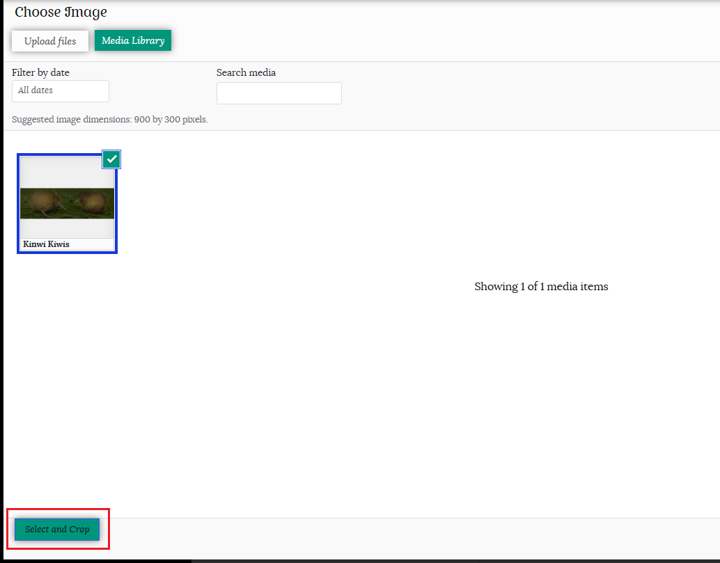 Choose image for store banner