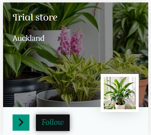 Follow store button on store list