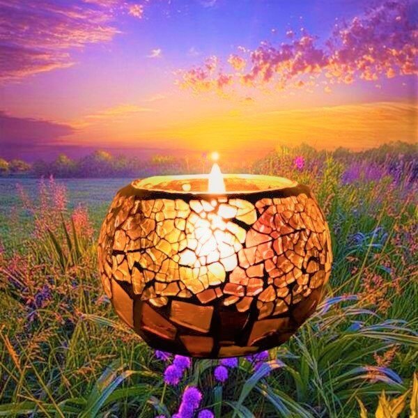 Kiwi candle supplies